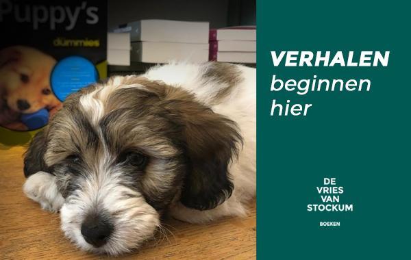 jack-website-nieuwsbericht-boekhandel-haarlem-den-haag-boeken.jpg